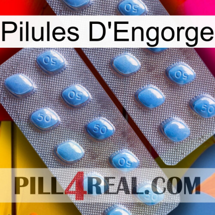 Engorge Pills viagra4